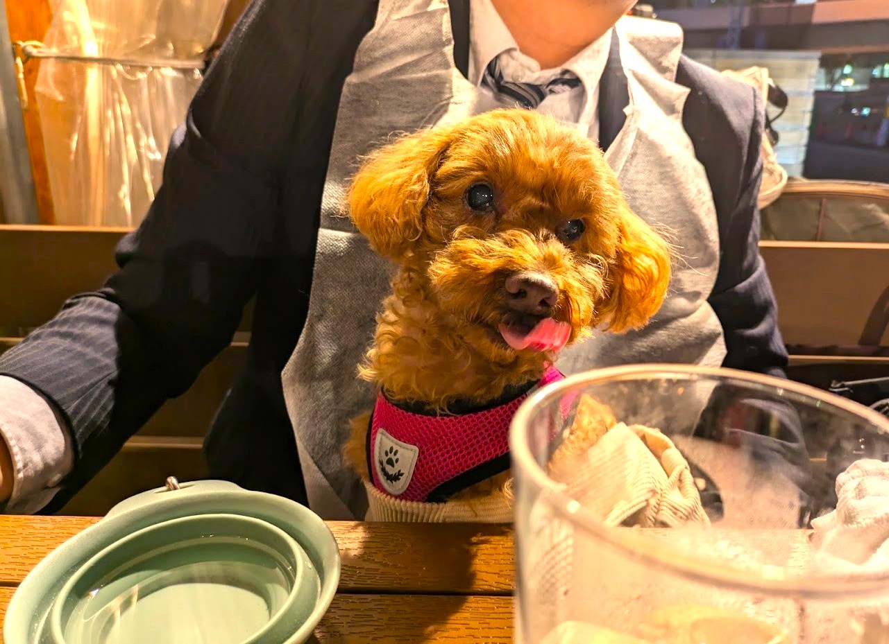 たじまや輝　西天満店