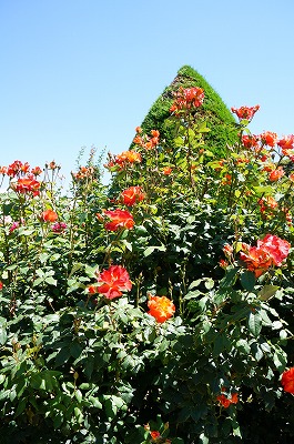 河津バガテル公園