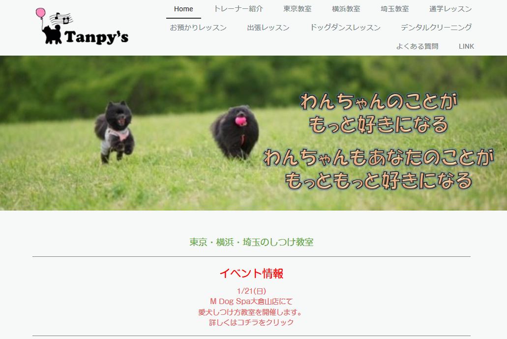 Tanpy's Dog training・しつけ教室