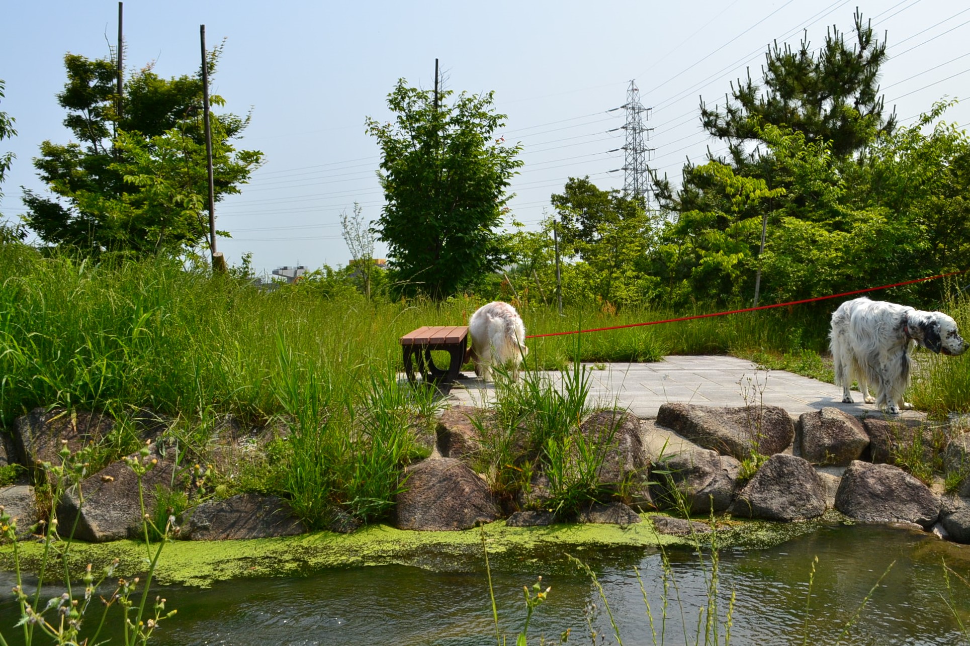 戸田川緑地