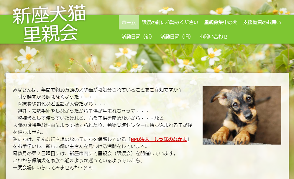 新座犬猫里親会