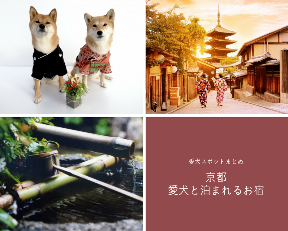 京都 ワンコ連れにおすすめ すべての愛犬スポット ペットと泊まれるホテル 旅館 まとめ 京都府 ペットと一緒