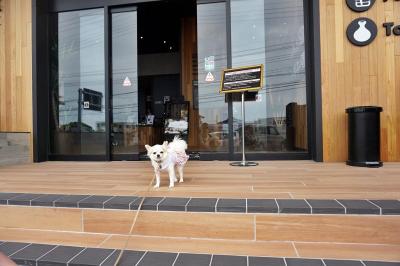 愛犬の駅