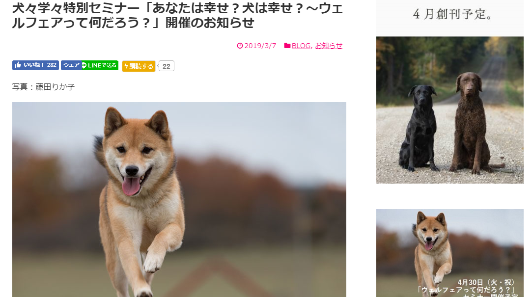 犬々学々