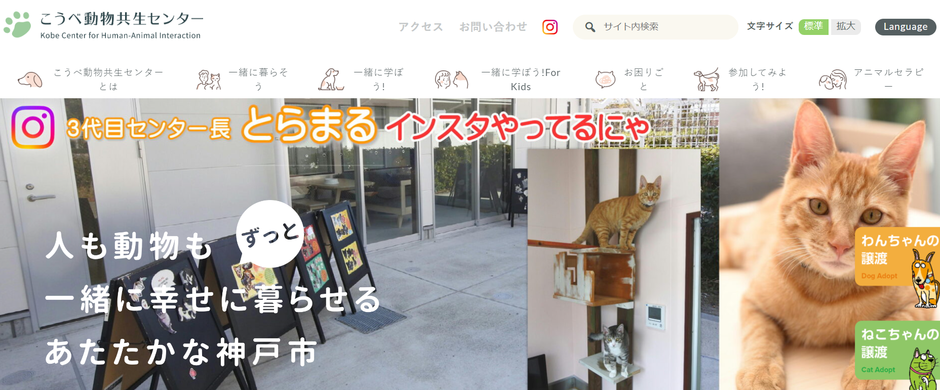 こうべ動物共生センターフェスティバル