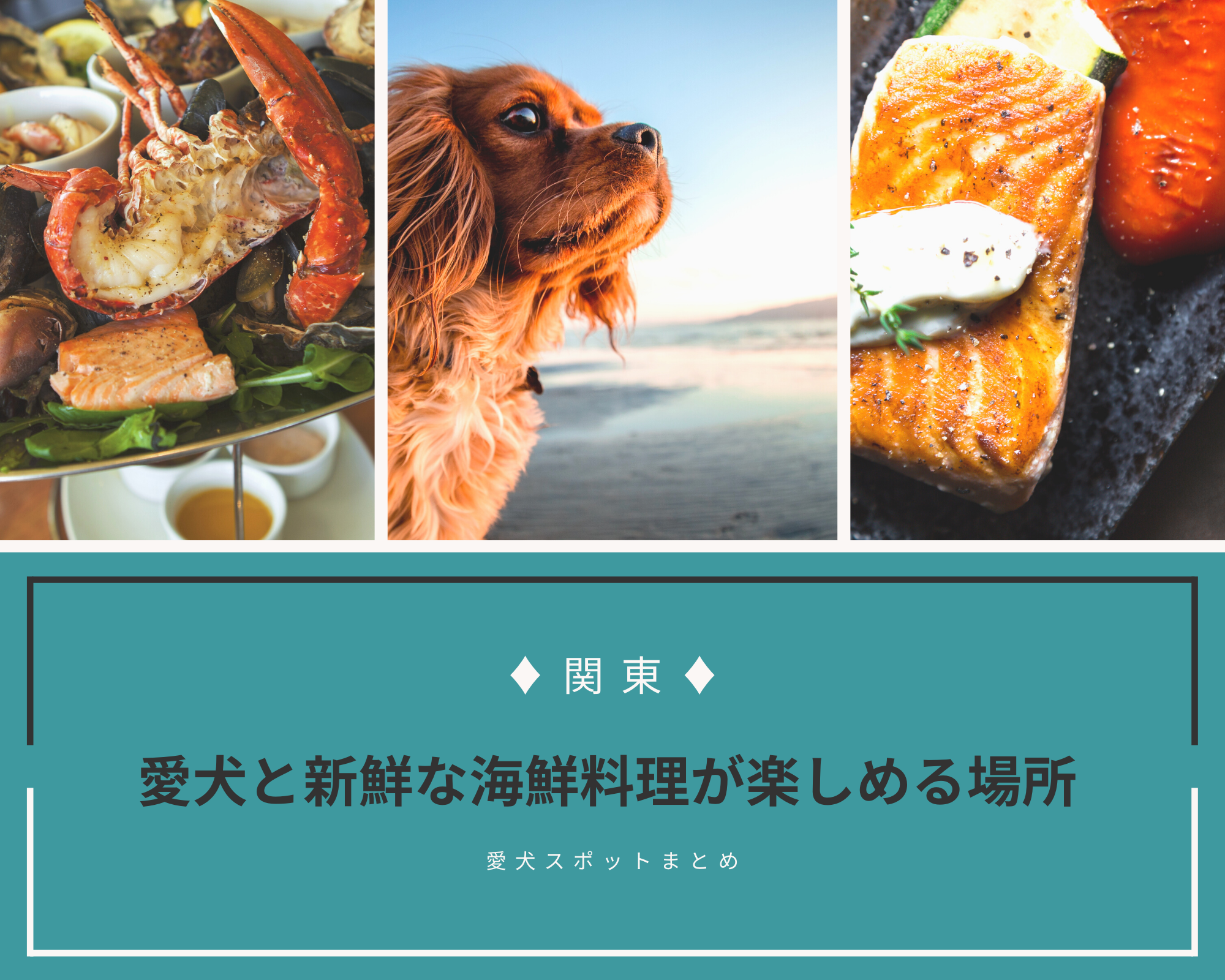 【関東】愛犬と新鮮な海鮮料理が楽しめる場所