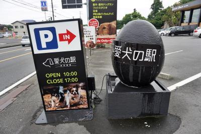 愛犬の駅