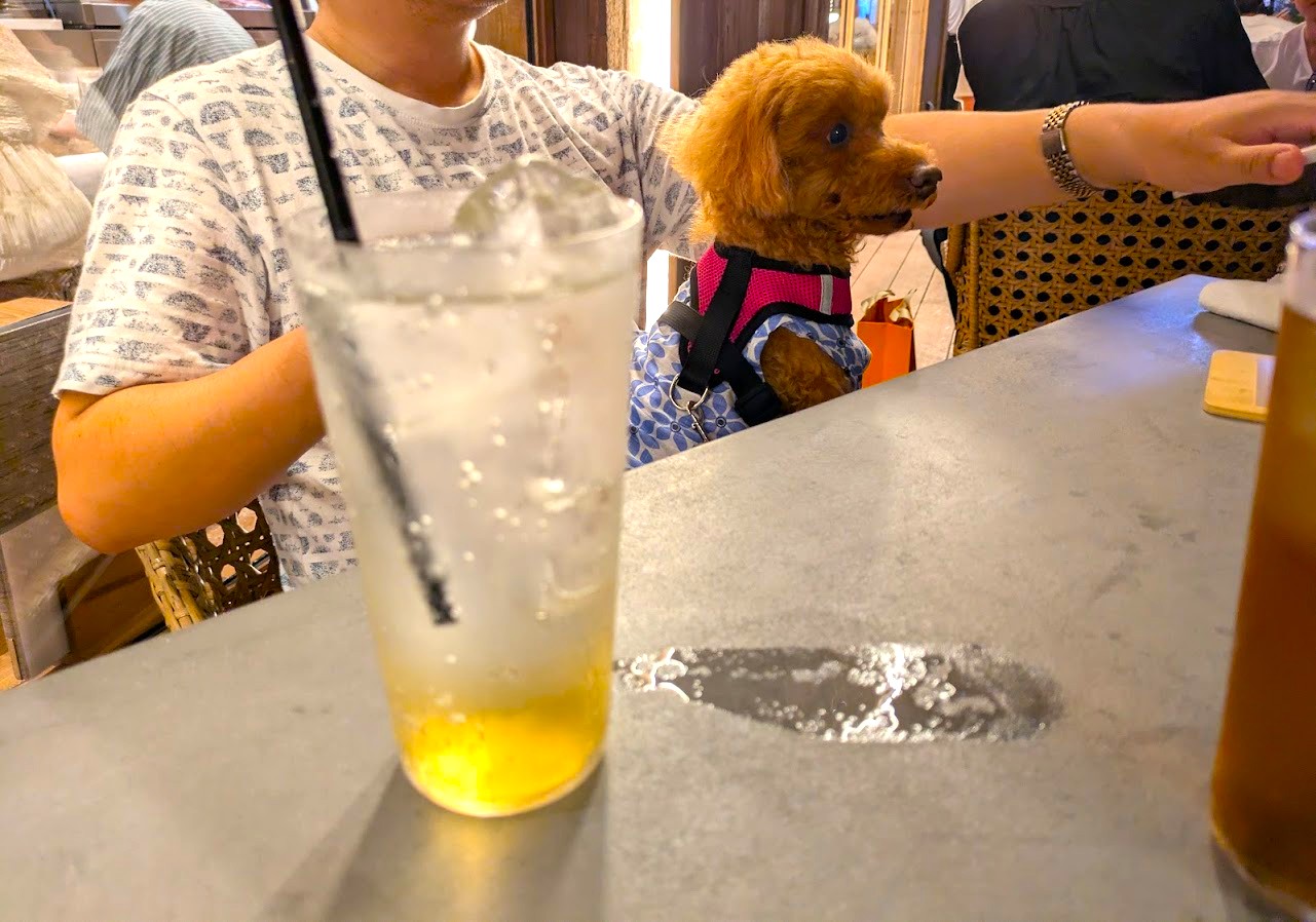 お料理サザエ