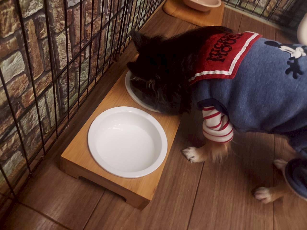 おもてなしホステル宮島