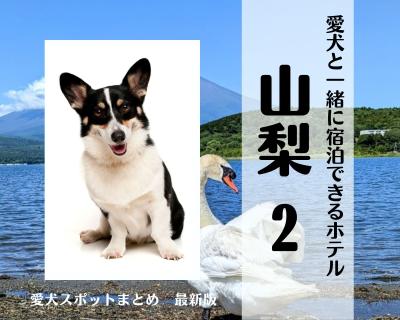 山梨