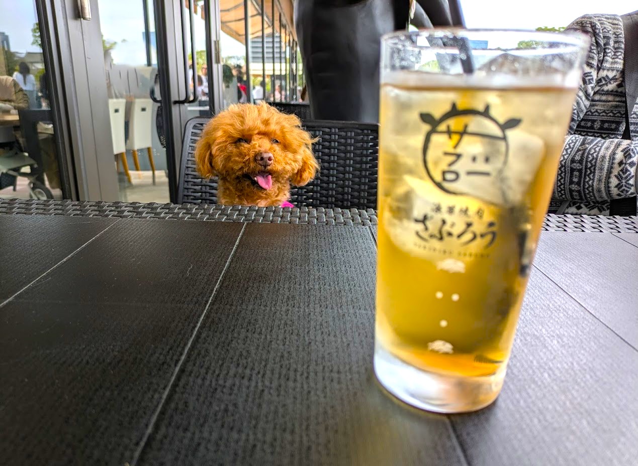 浪華焼肉さぶろう