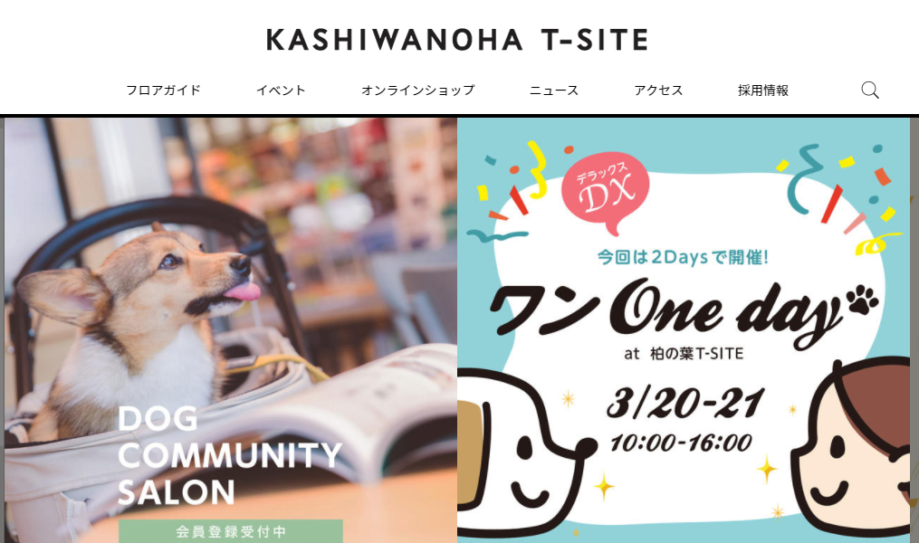 ワンOneday DX at 柏の葉T-SITE