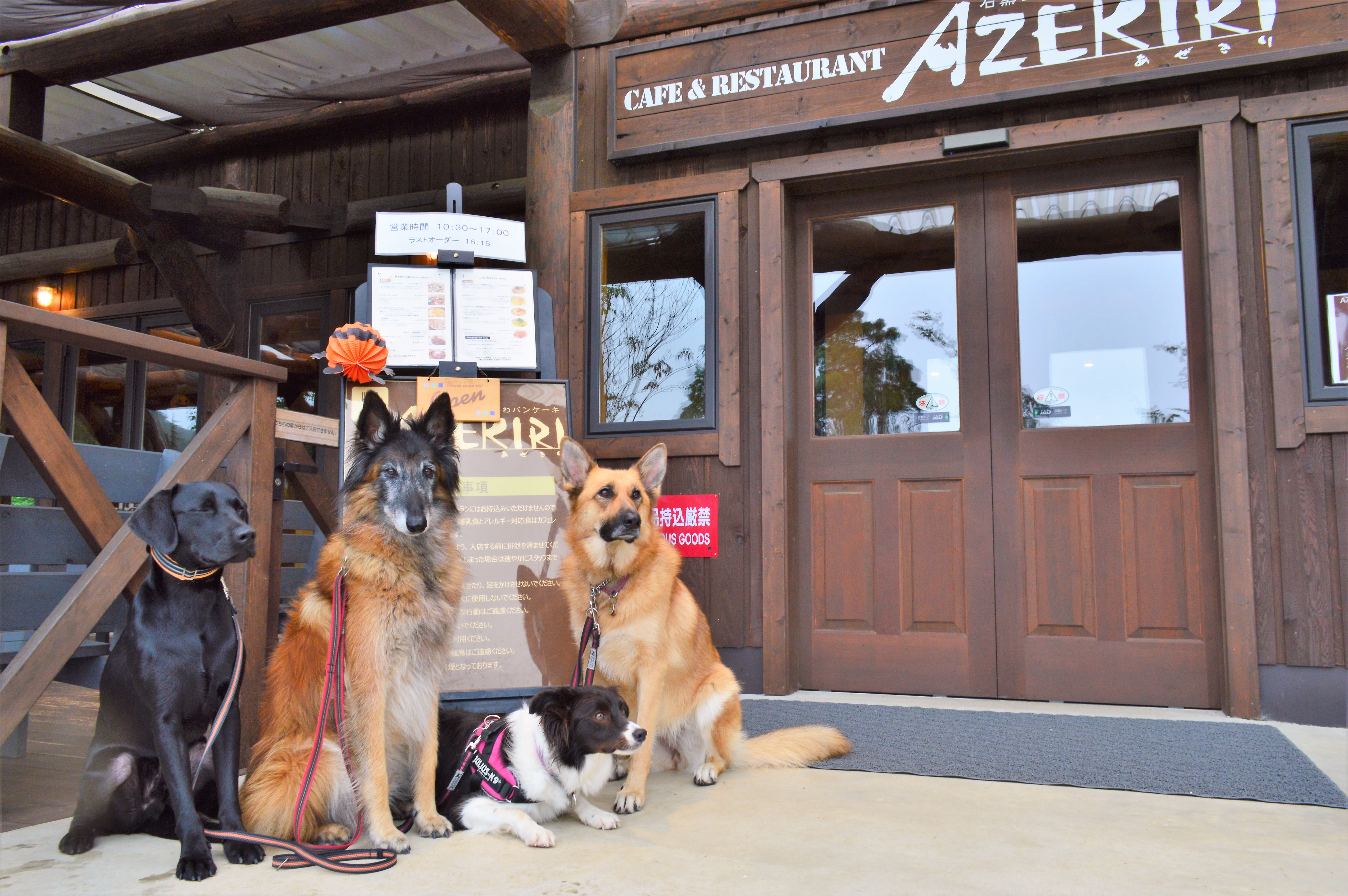 【関東】愛犬と美味しいケーキが食べられるお店