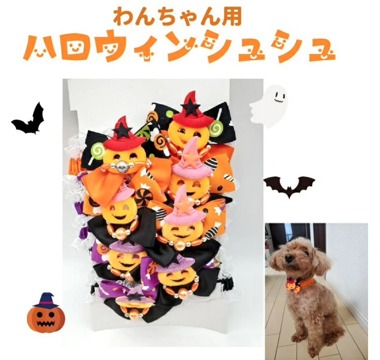 「愛犬とおうちでハロウィンを楽しもう!」ペットと一緒編集部