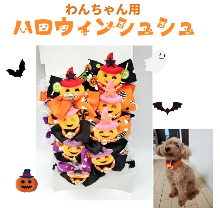 「愛犬とおうちでハロウィンを楽しもう！」ペットと一緒編集部