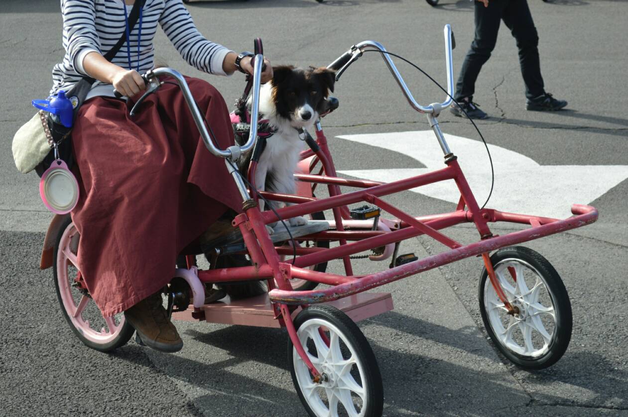 伊豆ぐらんぱる公園