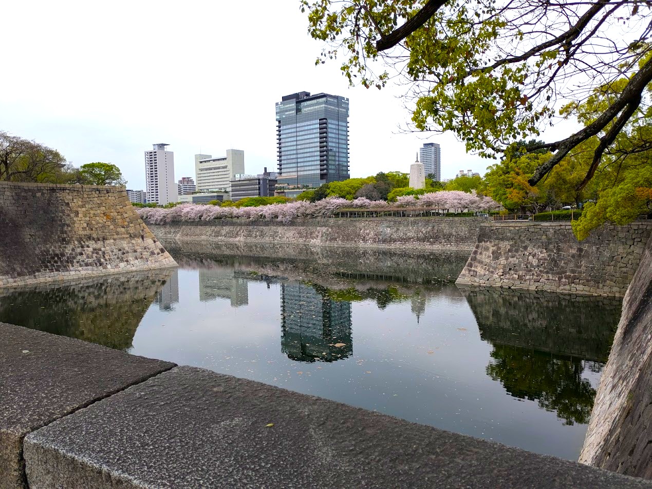 浪華焼肉さぶろう