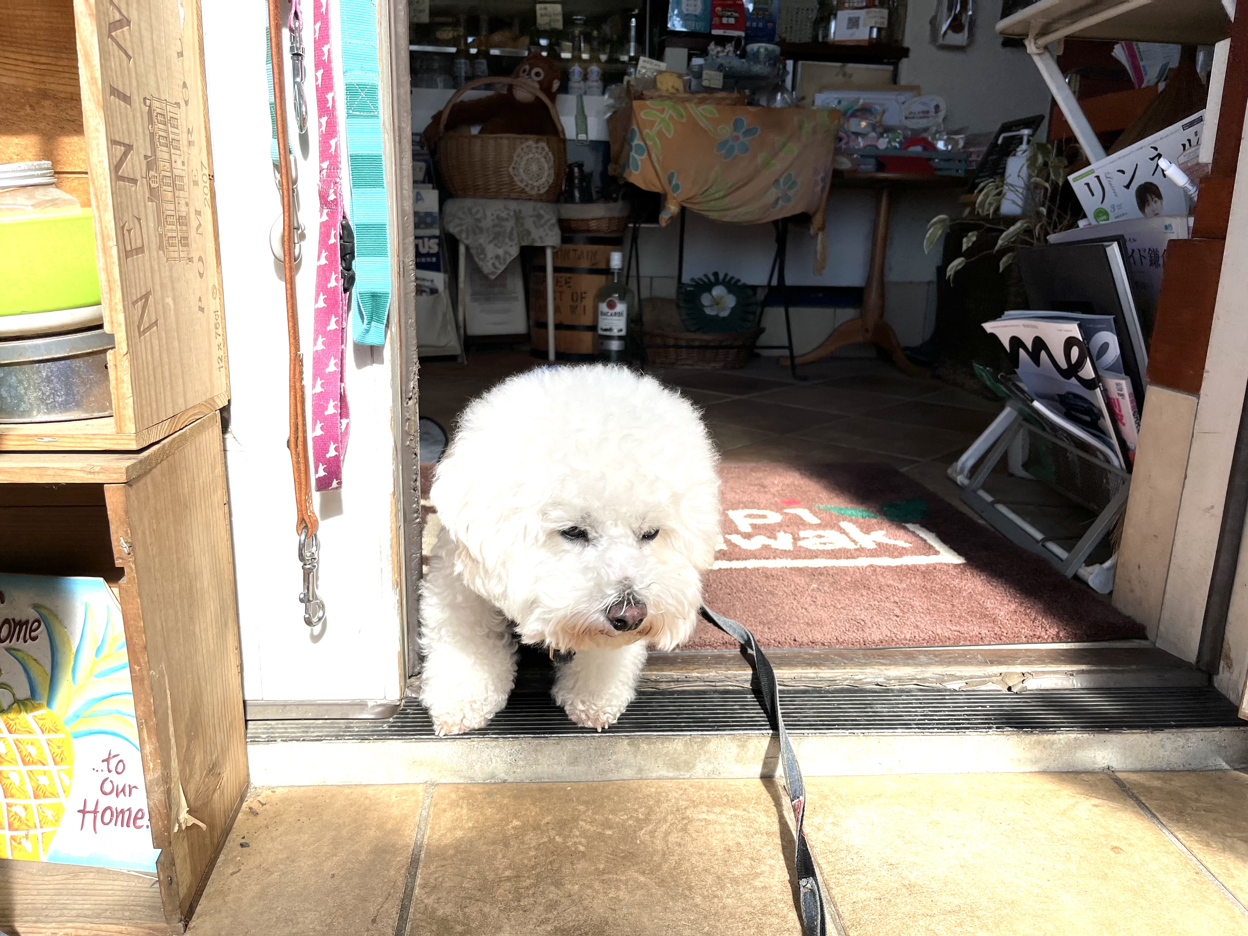 神奈川県