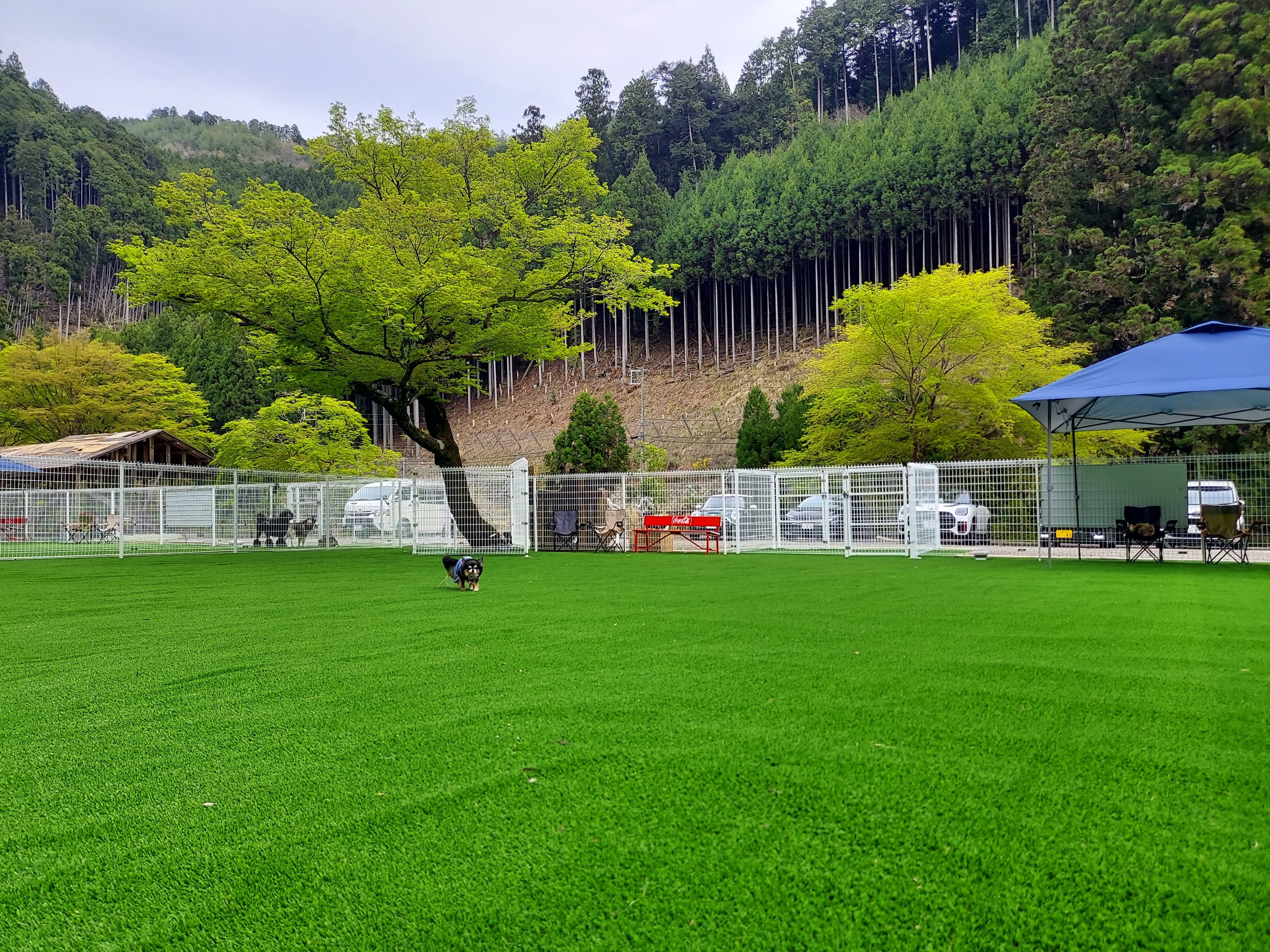 北山グリーンガーデン