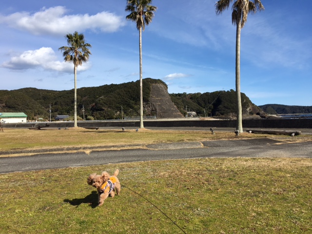 串本海中公園