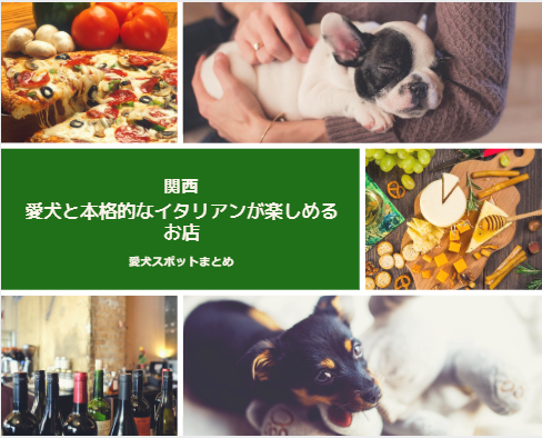 【関西】愛犬と本格的なイタリアンが楽しめるお店