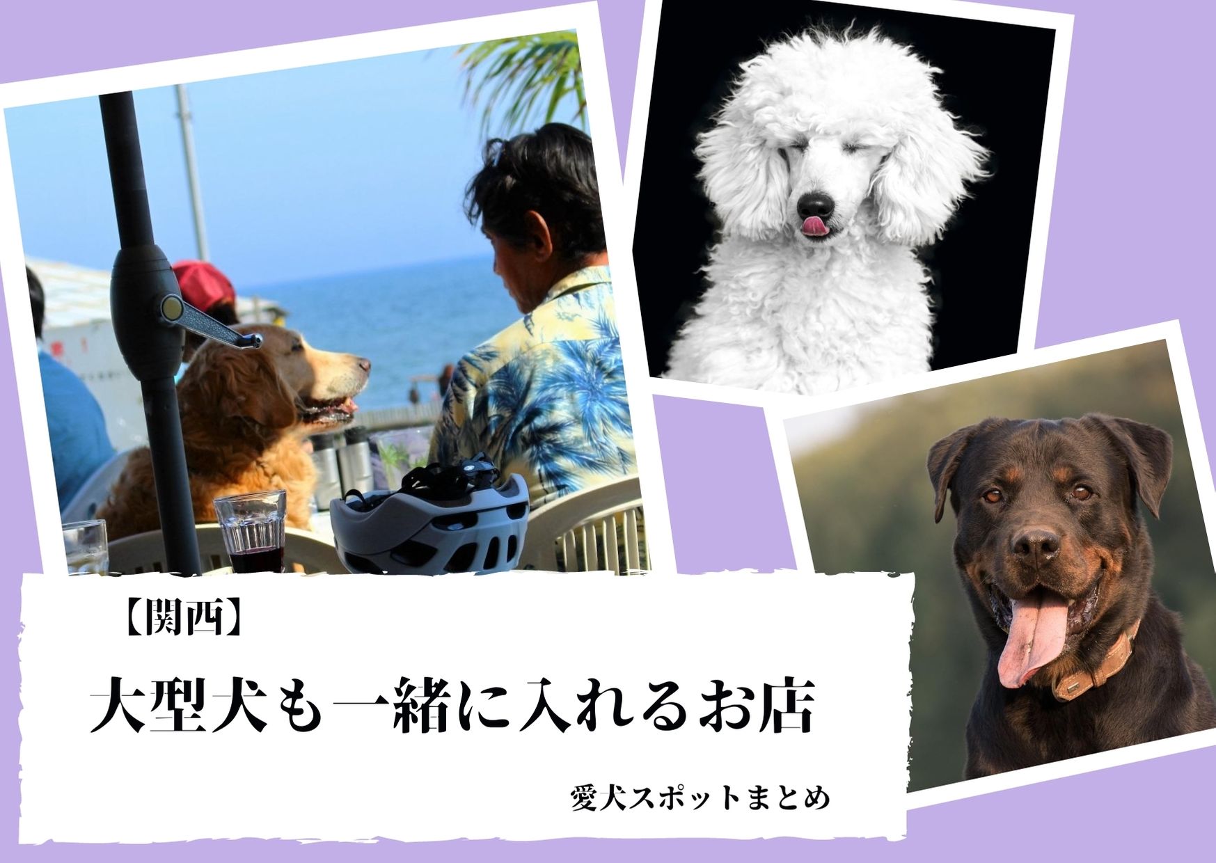 【関西】大型犬も一緒に入れるお店