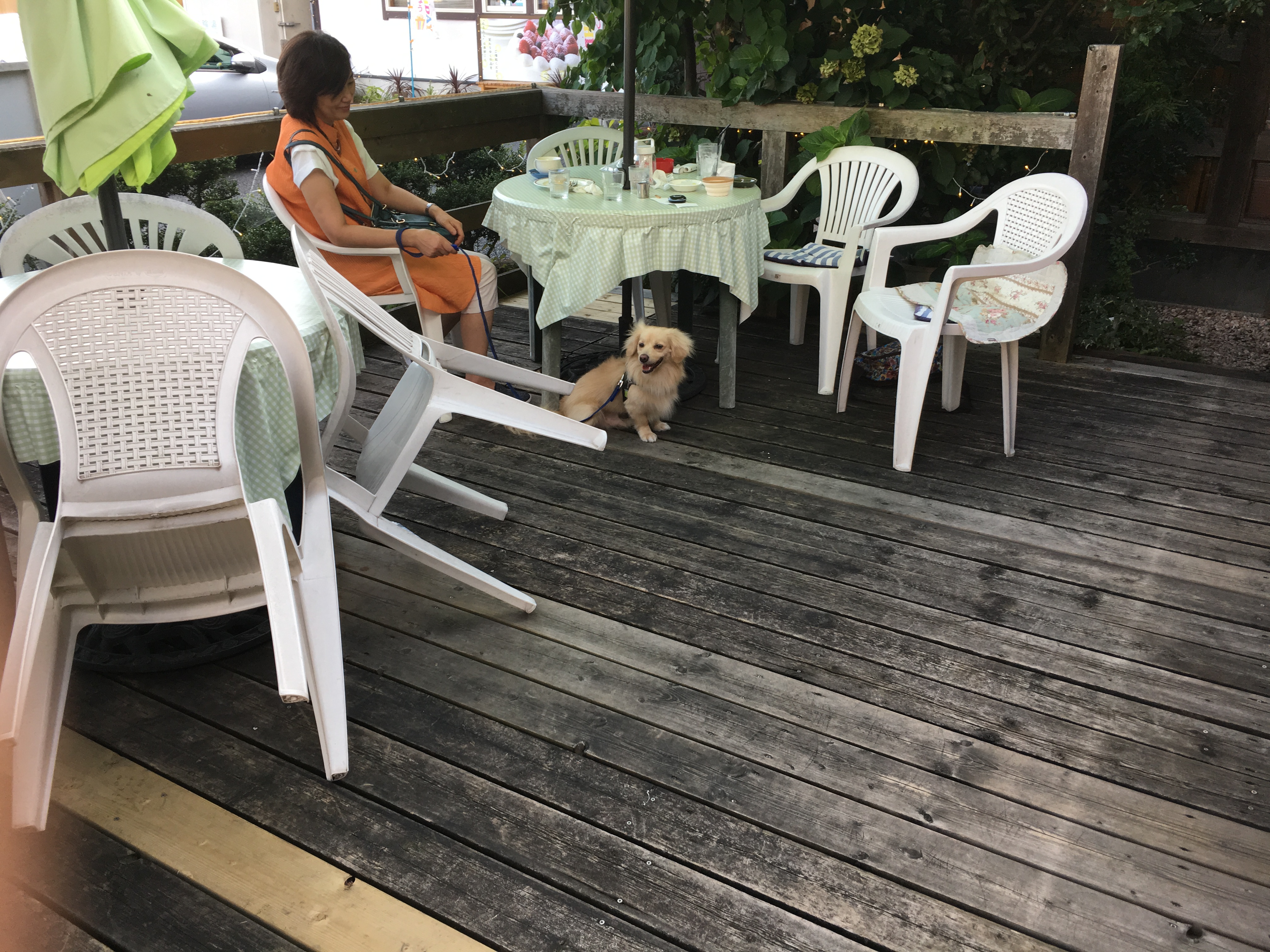 葉豆屋