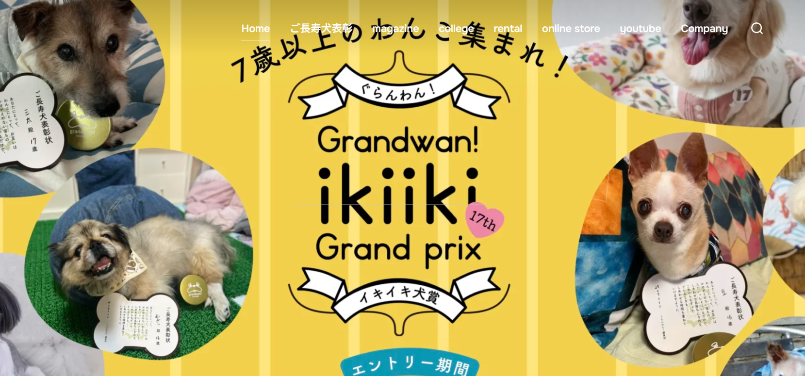 犬幸フェスタ