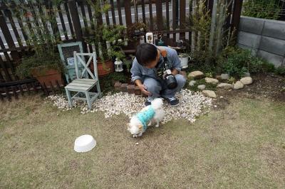 「DOG