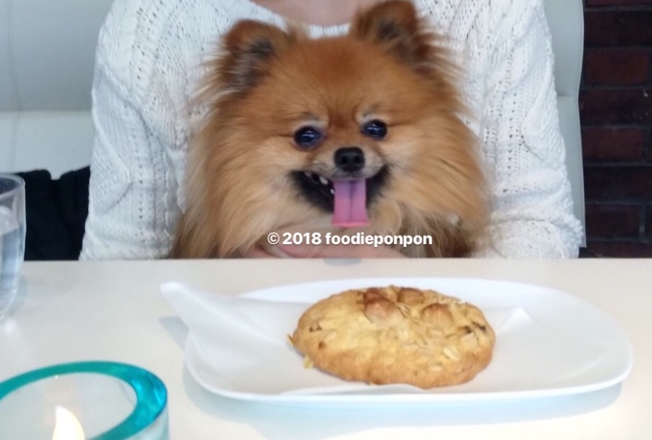 【関東】愛犬と美味しいケーキが食べられるお店