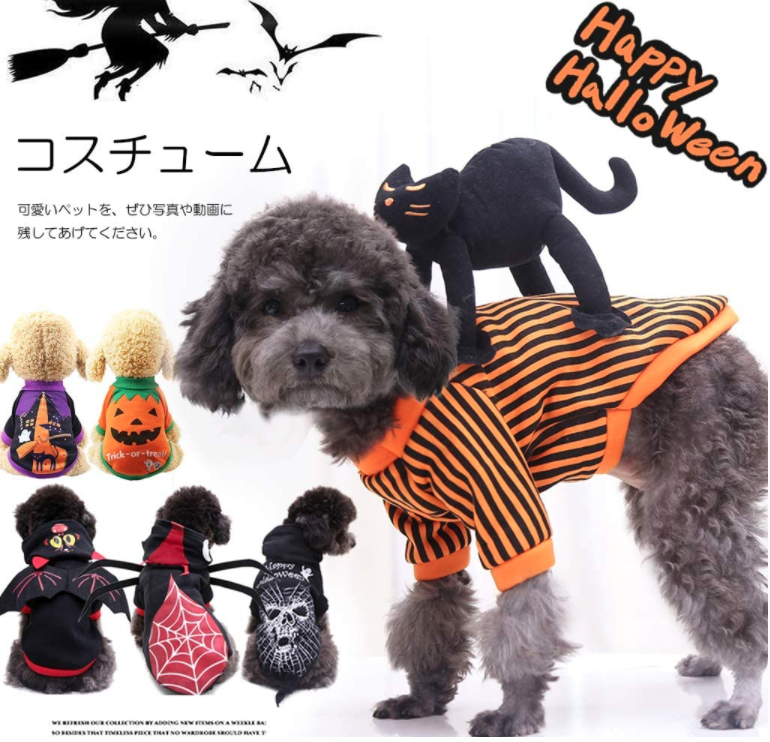 「愛犬とおうちでハロウィンを楽しもう!」ペットと一緒編集部