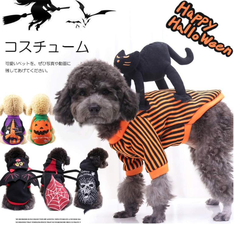 「愛犬とおうちでハロウィンを楽しもう！」ペットと一緒編集部