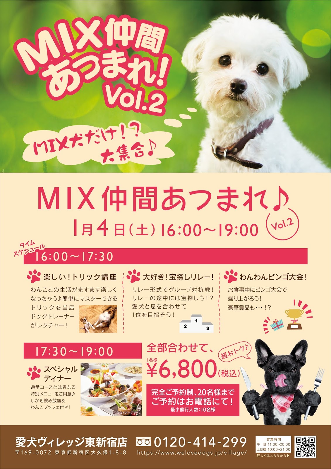 MIX犬集まれ！