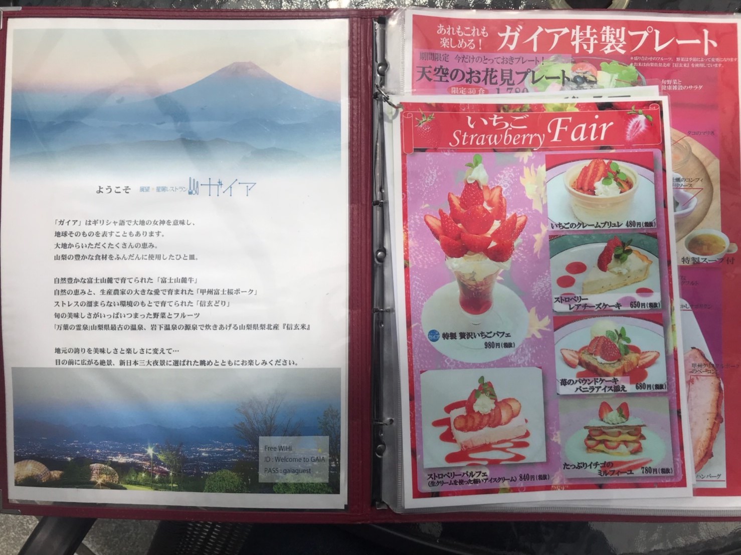 展望・星屑レストラン ガイア