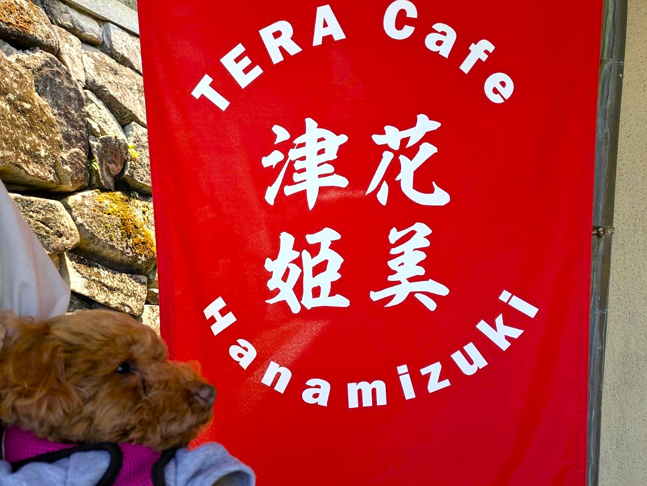 TERAカフェ花美津姫