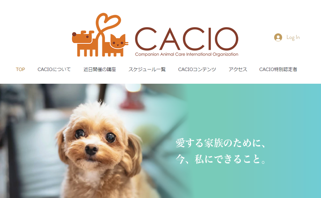 CACIO動物たちの反射区リフレマッサージゾーンタッチセラピー