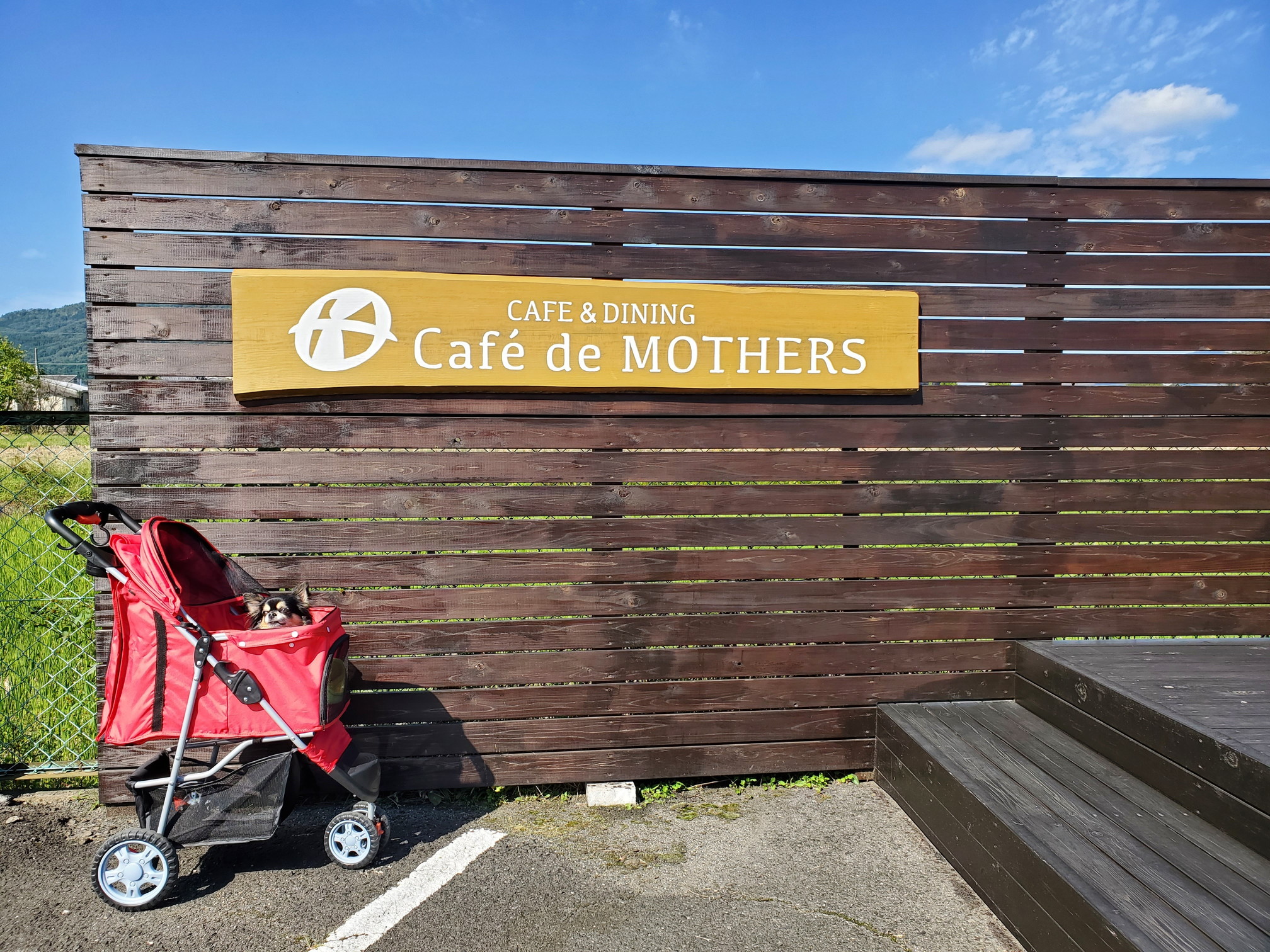 Cafe de MOTHERS(カフェドマザーズ)