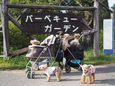 国営昭和記念公園バーベキューガーデン