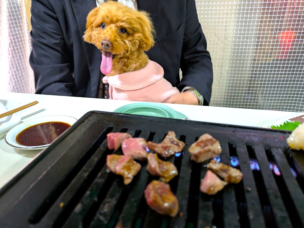 ホルモン福゜福゜