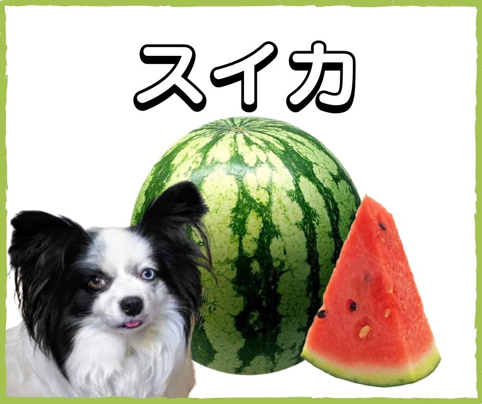 愛犬メニューに夏野菜を取り入れよう！NG食材も紹介