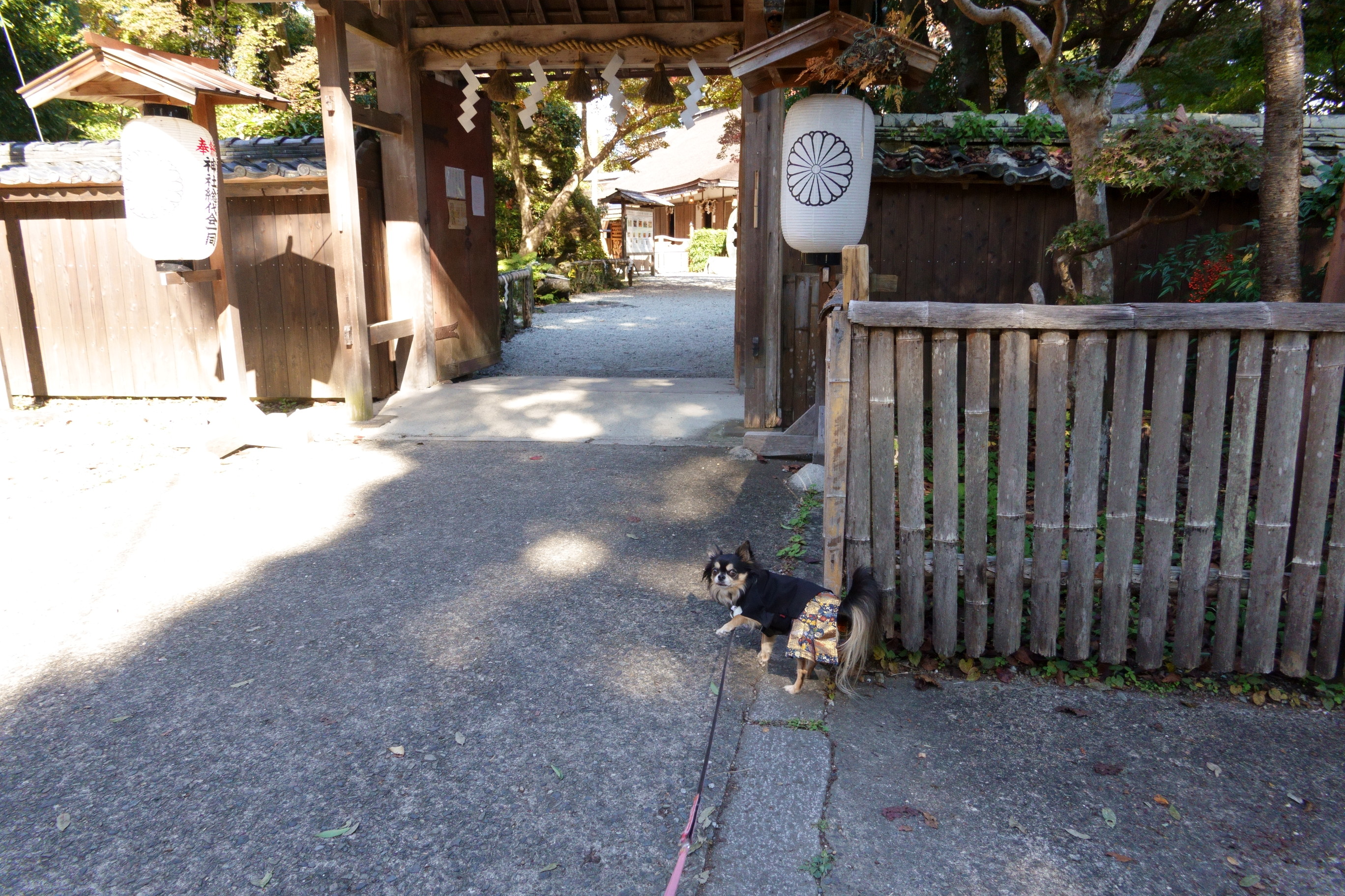 吉水神社