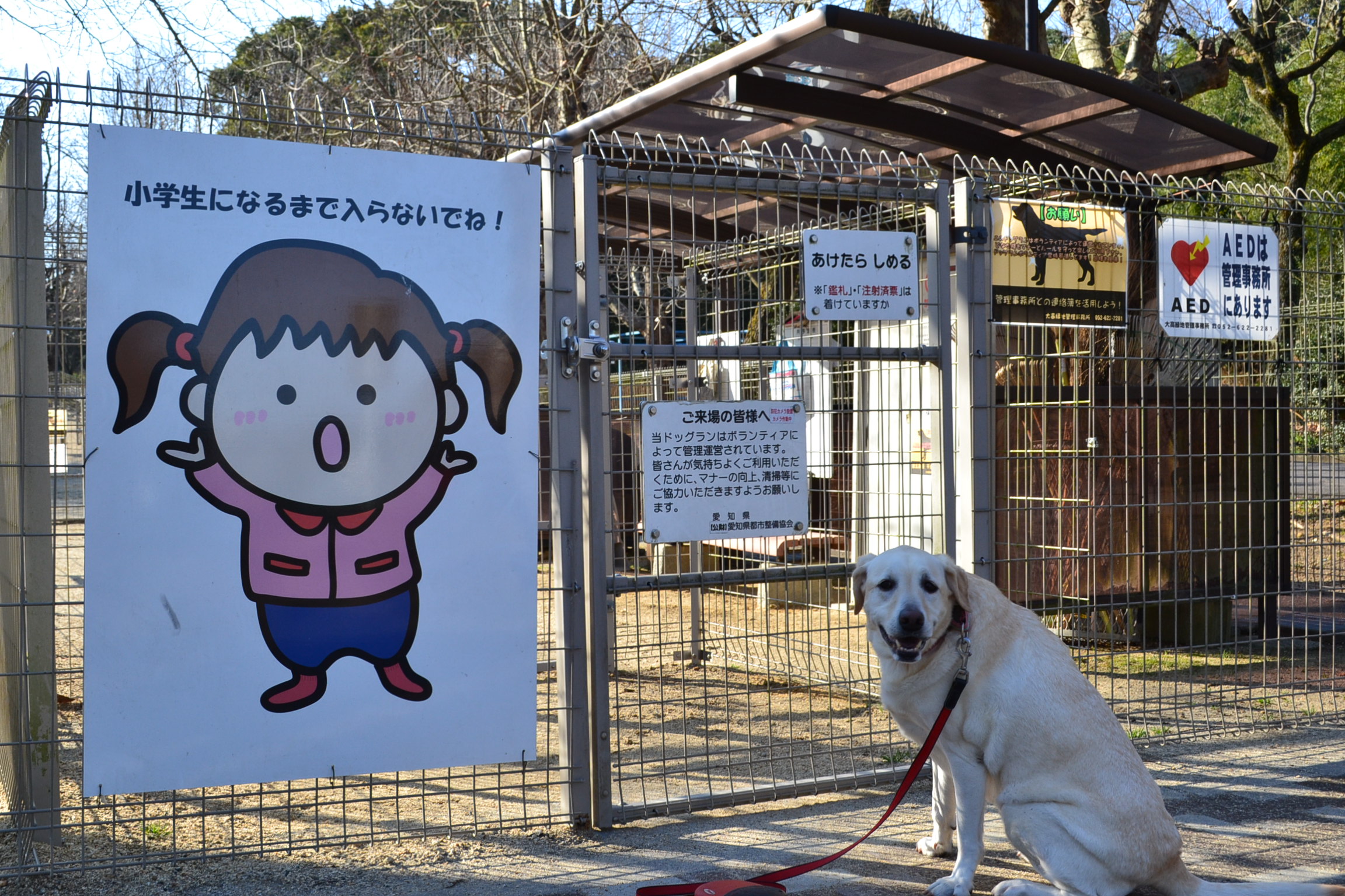 大 高 緑地