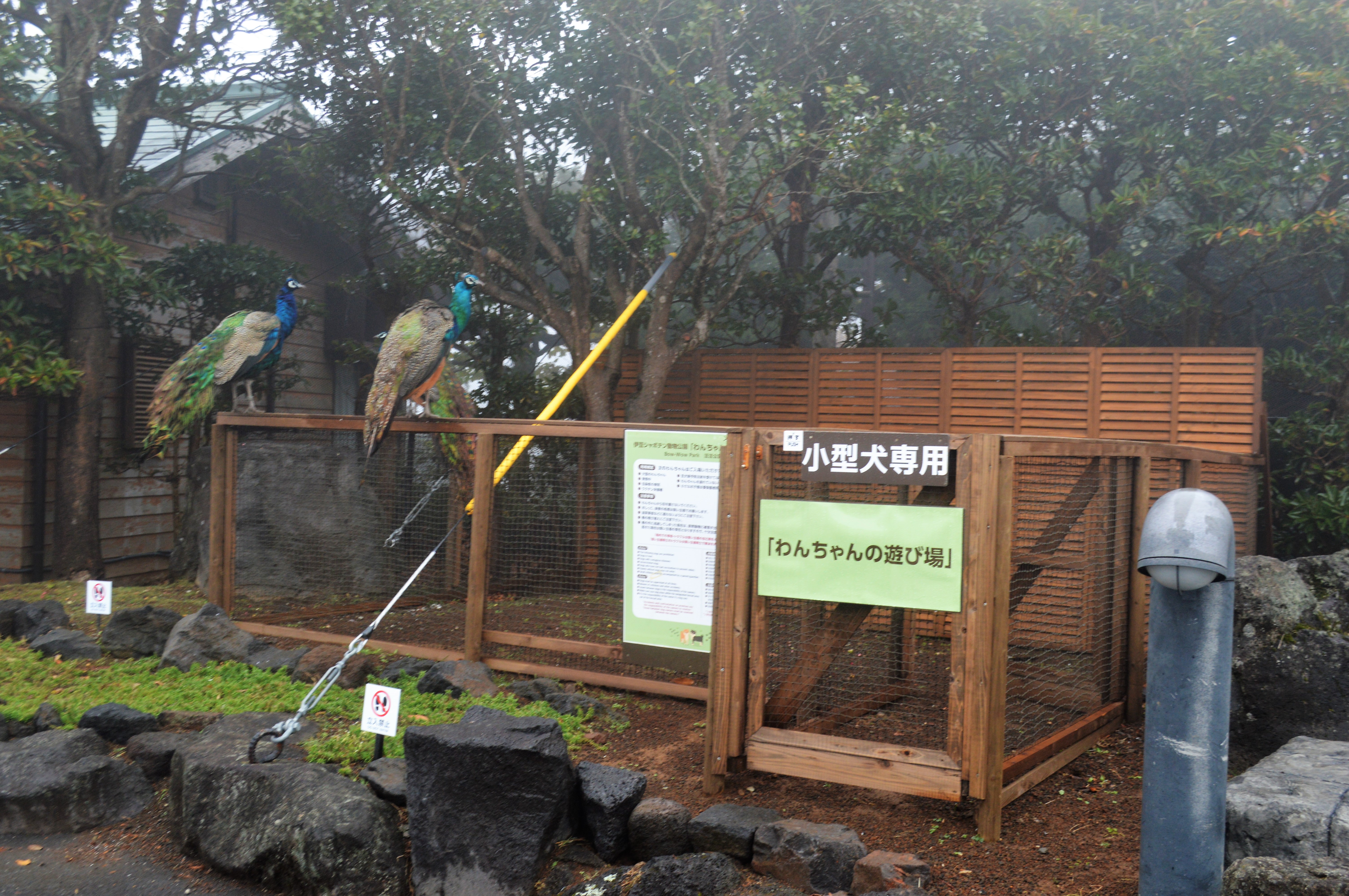 伊豆シャボテン動物公園