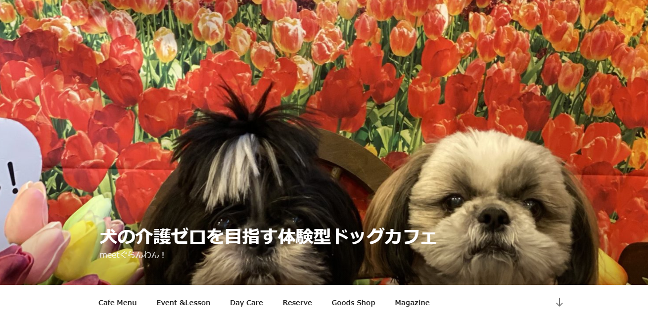 meetぐらんわん!お家でセルフグルーミング