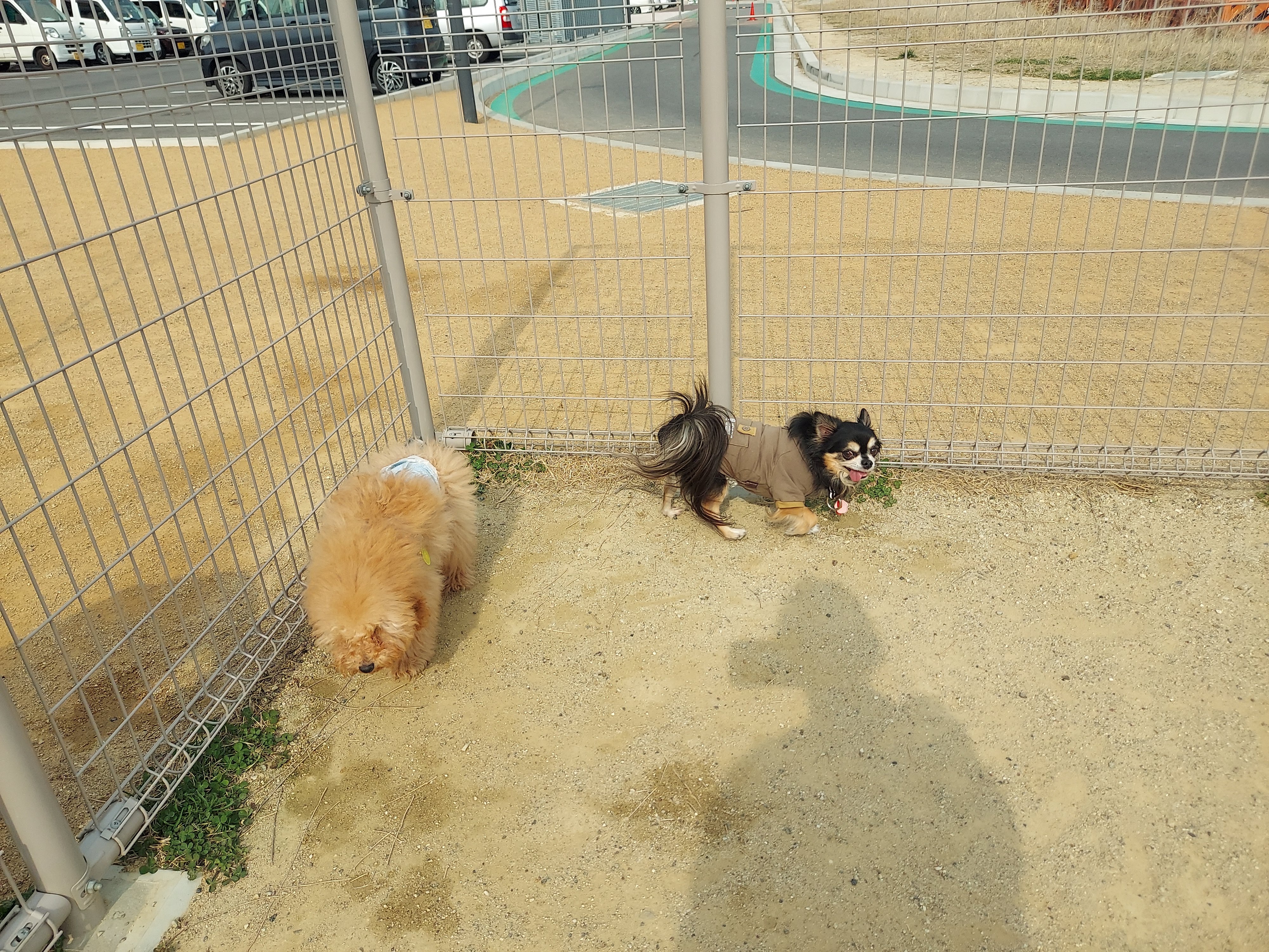 道の駅クロスウェイなかまち
