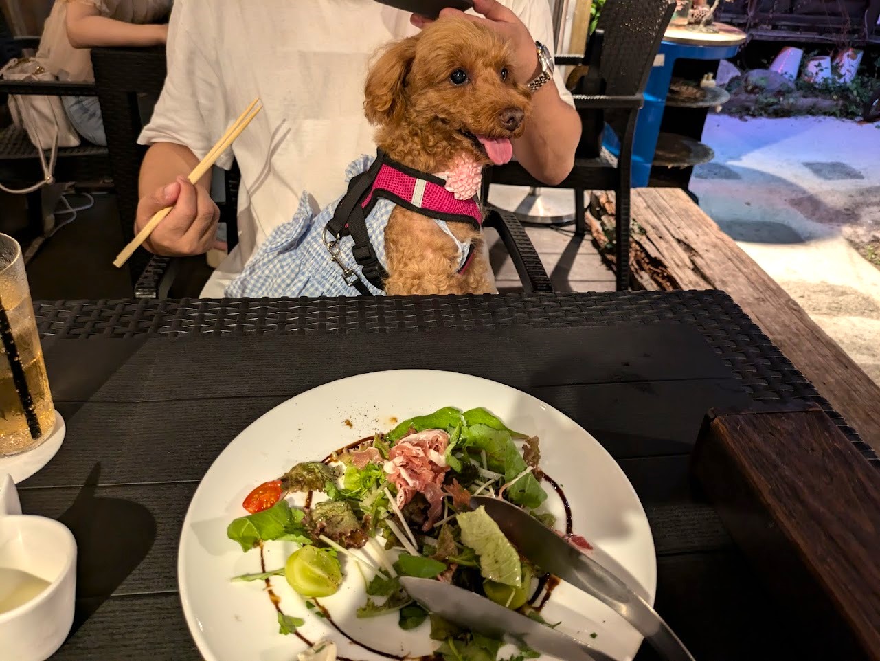大衆ビストロうらきんぎょ福島