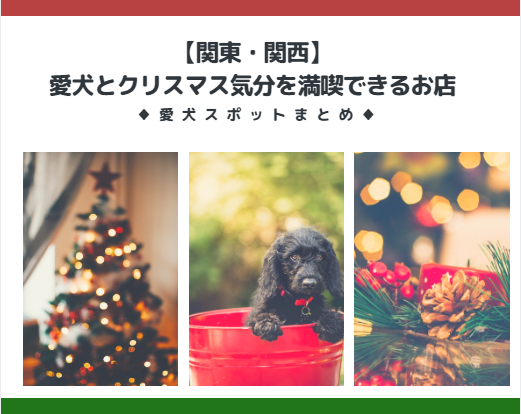 【関東・関西】愛犬とクリスマス気分を満喫できるお店