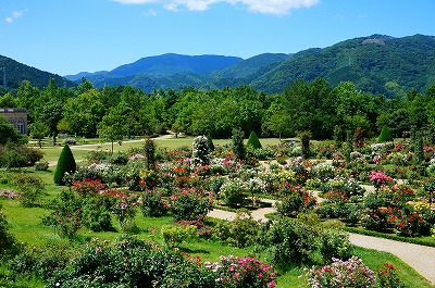 河津バガテル公園