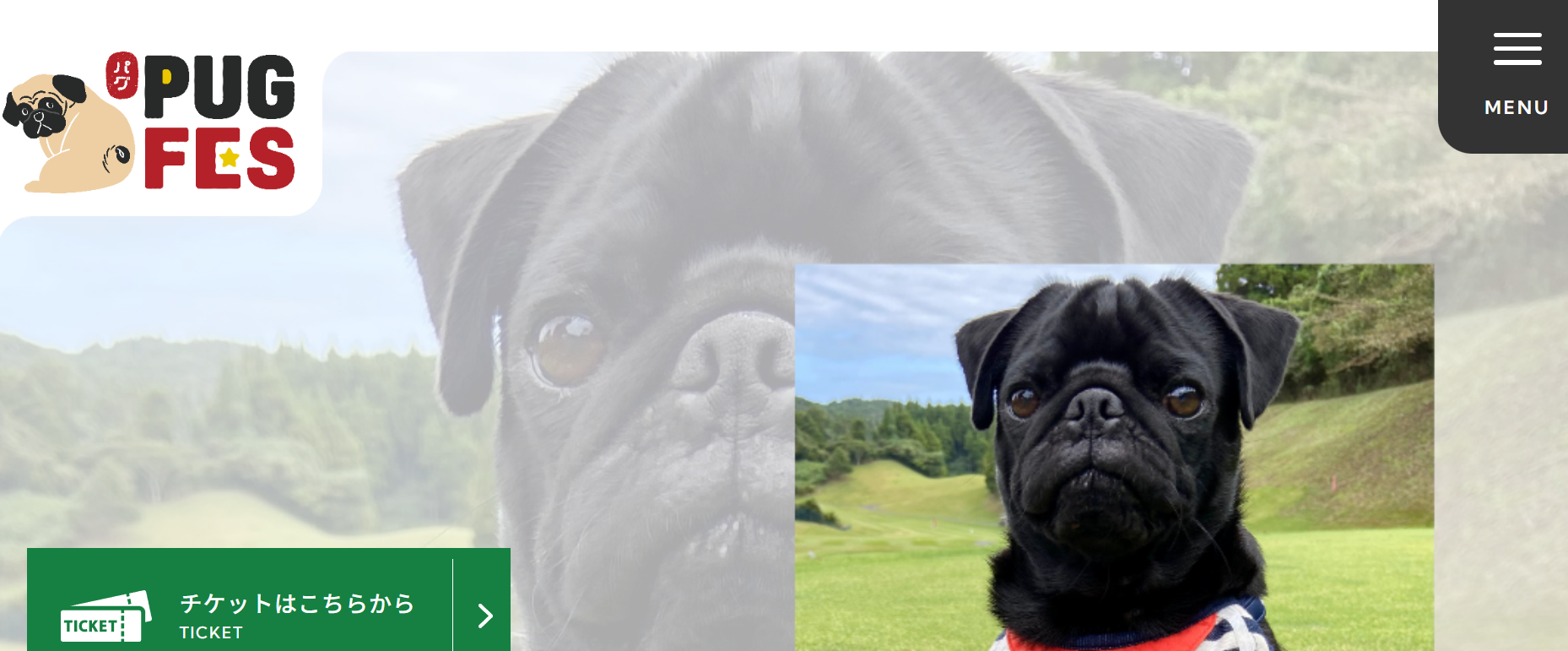 パグフェス2025