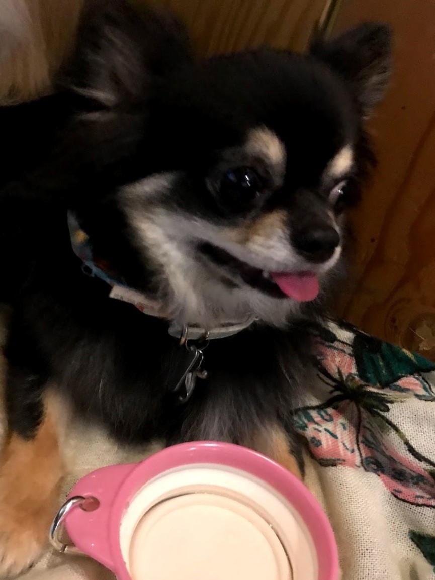 プラスアルファキッチン